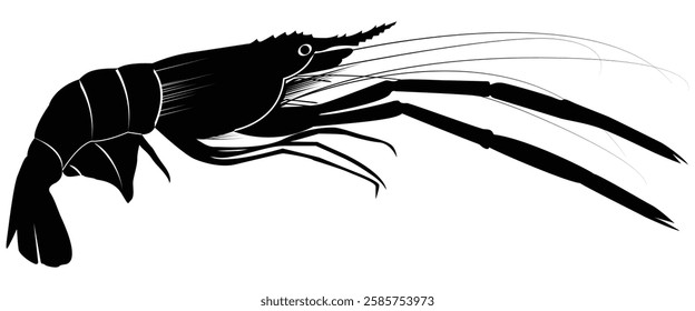 shrimp silhouettes vector black and white illustration big shrimp leg