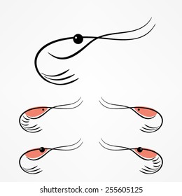 Shrimp sketch
