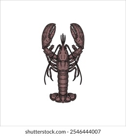 Desenho de esboço de camarão ilustração artesanal desenho