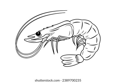 Shrimpskizze. handgezeichnete Garnelenumrandung. Garnelen, schwarz-weiß, Vektorgrafik. Garnelen einzeln auf weißem Hintergrund. Vektorgrafik. Garnelen reihen Kunstzeichnung.