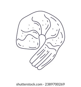Shrimp sketch. hand drawn Shrimp outline illustration. Shrimp black and white vector drawing. Shrimp isolated on white background. vector illustration. Shrimps line art drawing.