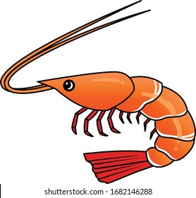 Shrimp are slender with long muscular abdomens.