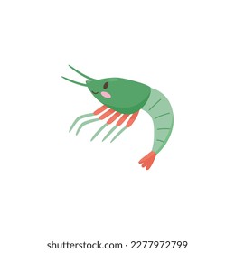 Shrimp or small marine crustacean animal from zooplankton group, flat cartoon vector illustration isolated on white background. Crustacean sea aquatic creature.