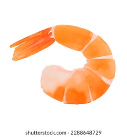 shrimp with style hand drawn digital painting illustration