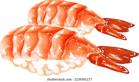 Shrimp Sushi or Ebi Sushi vector illustration. Japanese Food Sushi