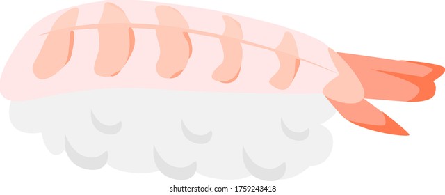 Shrimp sushi illustration of Japanese cuisine.