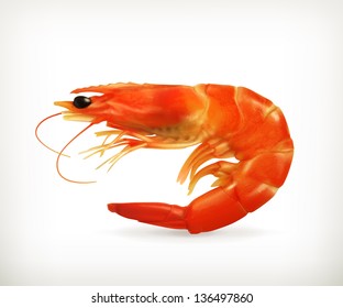 Shrimp vector