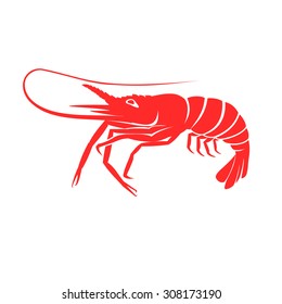 Shrimp vector