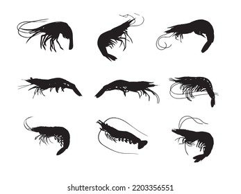 Shrimp Vector Vector Art and Graphics, Image Illustration for Free .EPS