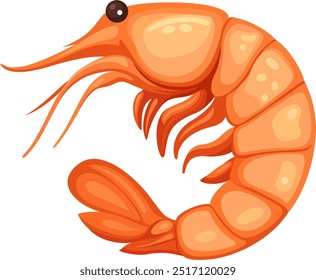 Shrimp vector color illustration isolated on white background. Template for restaurant menus. Shrimp vector icon.