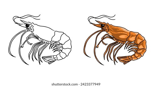 Imagen de la página de coloreado vectorial de camarón. Vector de camarón. Esbozo de camarón