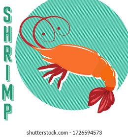 Shrimp vector design. Shrimp logo illustration