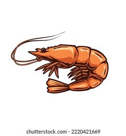 shrimp vector design for your design component
