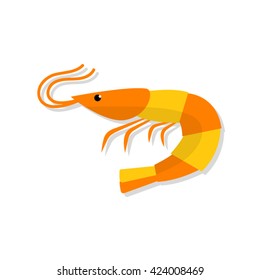 Shrimp vector flat illustration isolated on white background. Fresh seafood icon.