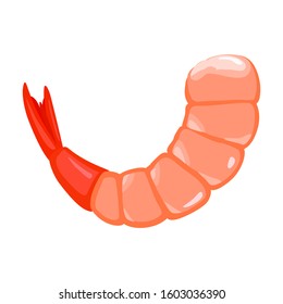 Shrimp vector icon.Cartoon vector icon isolated on white background shrimp .