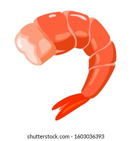 cooked shrimp cartoon