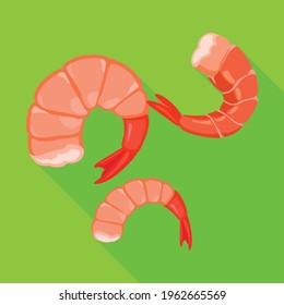 Shrimp vector icon.Flat vector icon isolated on white background shrimp .
