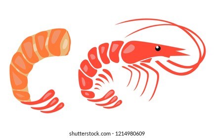 Shrimp vector illustration