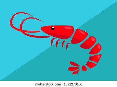 Shrimp vector illustration