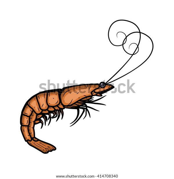 Download Shrimp Vector Shrimp Illustration Vector Cartoon Stock ...