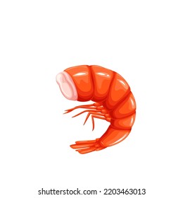 Shrimp vector illustration. Cartoon isolated red cooked prawn with shell, tail and without head, shellfish crustacean animal to cook seafood menu, female small shrimp for cooking fresh protein food