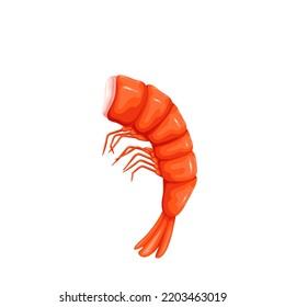 Shrimp vector illustration. Cartoon isolated one headless red prawn, marine crustacean animal without head, small shrimp with shell and tail for cooking appetizer, salad or Japanese healthy food