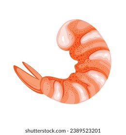 Shrimp vector illustration. Cartoon isolated top view of peeled fresh, frozen or cooked Jumbo Tiger prawn without head, one pink Asian shrimp and marine crustacean, delicatessen seafood for cooking