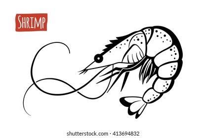 Shrimp, vector illustration, cartoon style