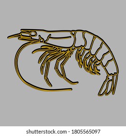 
shrimp vector illustration design with outline style