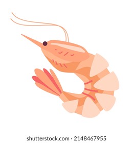 Elemento de ilustración vectorial de camarón aislado en blanco