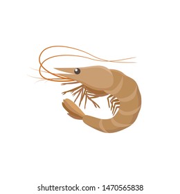 Shrimp vector illustration in flat design isolated on white background.