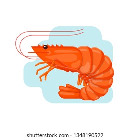 Shrimp. Vector illustration in flat style with grain texture. Cartoon character.