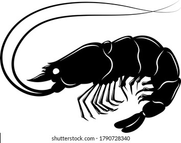 Shrimp Vector Illustration, Isolated on White Background, Clipart Style Sea Animal