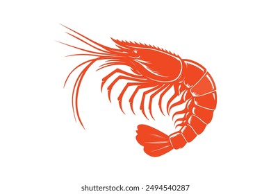 Shrimp vector illustration Isolated On White Background