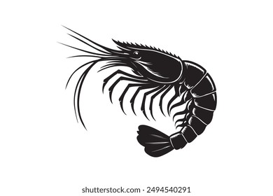 Shrimp vector illustration Isolated On White Background