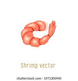 Shrimp vector illustration. Isolated prawn