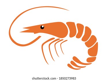 Ilustración vectorial de camarón en blanco