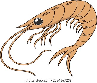  shrimp vector illustration with solid color 