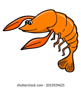 shrimp vector illustration,isolated on white background,top view