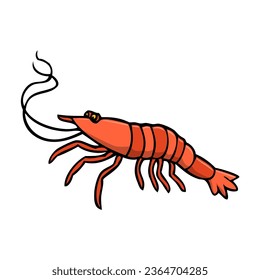 shrimp vector illustration,isolated on white background,top view