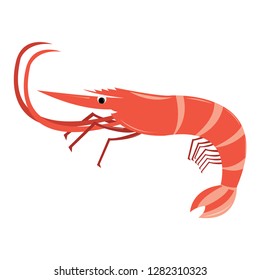 shrimp vector image,you can use for your company branding and others uses.