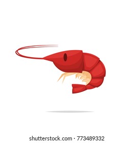 Shrimp vector isolated illustration