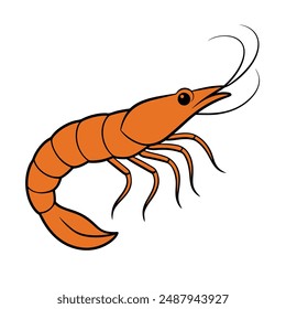 Shrimp vector line art illustration