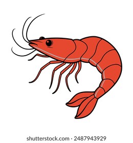 Shrimp vector line art illustration