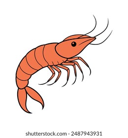 Shrimp vector line art illustration