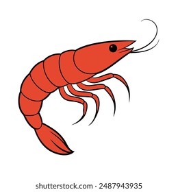 Shrimp vector line art illustration