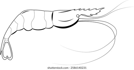 shrimp vector logo silhouette illustration black and white simple fish