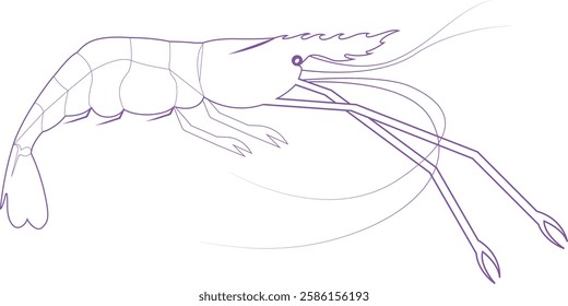 shrimp vector logo silhouette illustration black and white line art