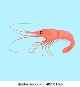 Shrimp vector pattern. Flat style design. Fresh sea shrimp concept. Seafood illustration for packaging, logos, and patterns. Healthy eating marine products. Bright red shrimp on blue background.