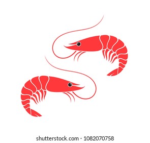 Shrimp vector. Sea creature sign. Prepared shrimps on white background. Abstract animals